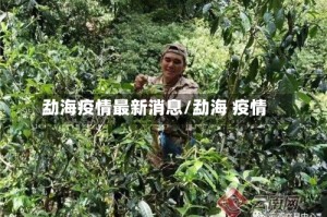 勐海疫情最新消息/勐海 疫情