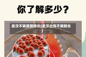 武汉不明原因肺炎(武汉出现不明肺炎)