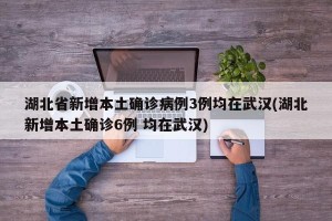 湖北省新增本土确诊病例3例均在武汉(湖北新增本土确诊6例 均在武汉)