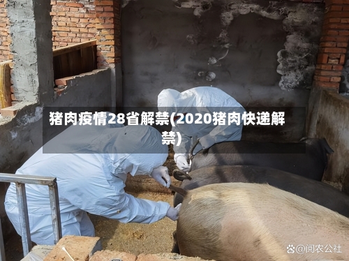 猪肉疫情28省解禁(2020猪肉快递解禁)-第1张图片