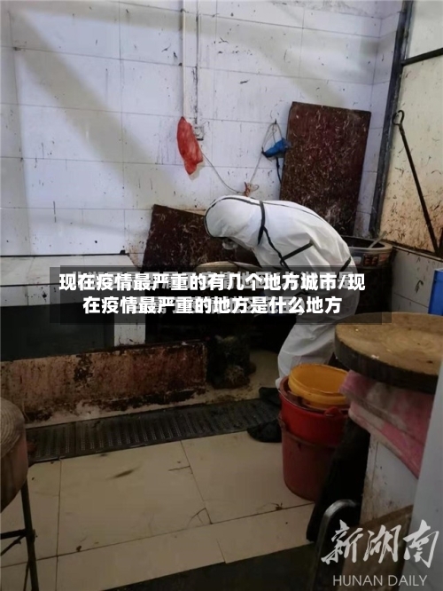 现在疫情最严重的有几个地方城市/现在疫情最严重的地方是什么地方-第2张图片