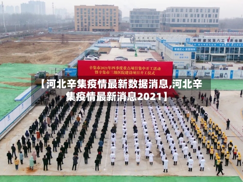 【河北辛集疫情最新数据消息,河北辛集疫情最新消息2021】-第3张图片