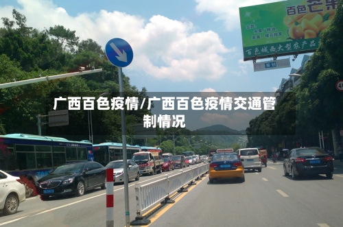 广西百色疫情/广西百色疫情交通管制情况-第3张图片