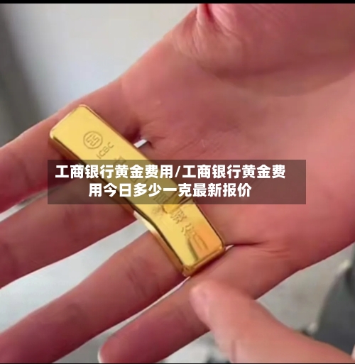 工商银行黄金费用/工商银行黄金费用今日多少一克最新报价-第2张图片
